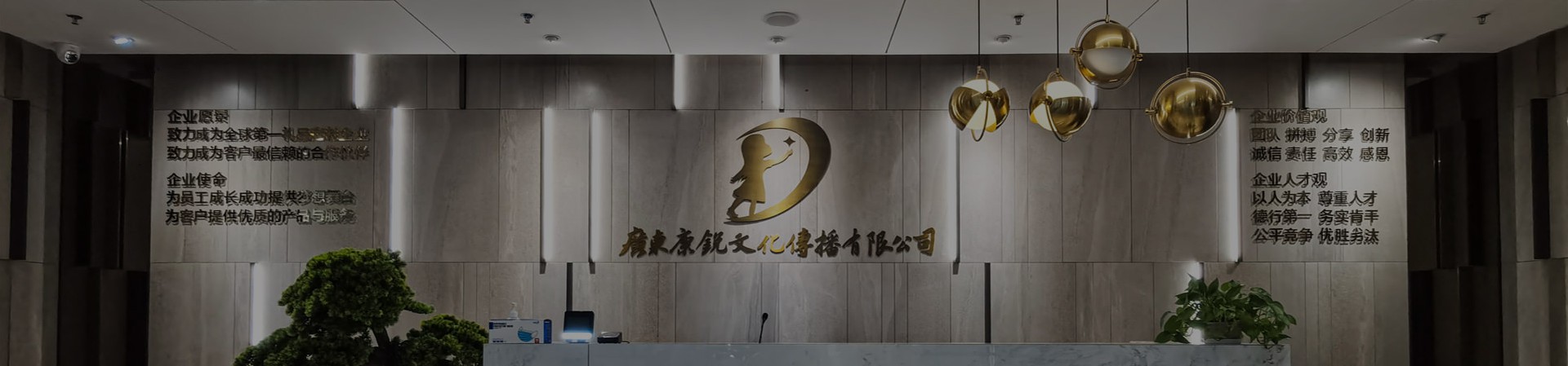 定制案例
